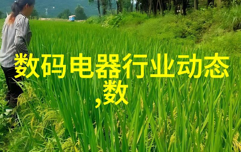安卓市场官方版从0到英雄手机里的大冒险