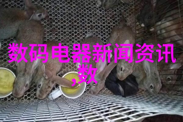 九艺装饰精致生活的艺术追求