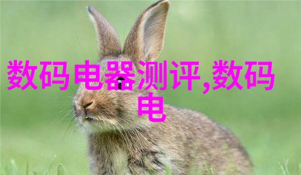 净制清洁生活的智慧之选