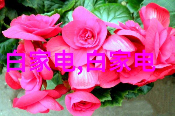 你知道吗穿戴上的科技小能手什么是可穿戴智能设备