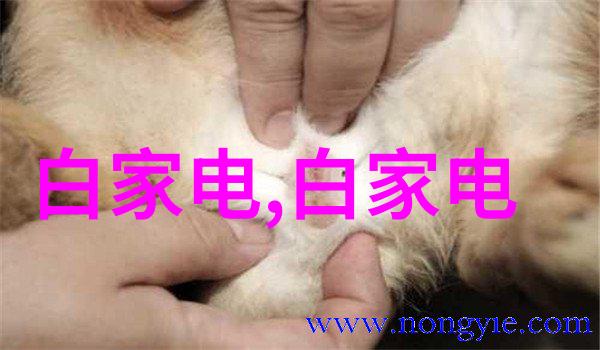 特务搜查官风子的侦探生涯总结