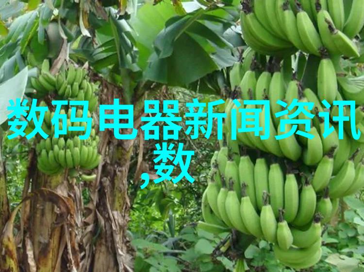 佩饰与功能融合揭秘可穿戴技术的双重性格