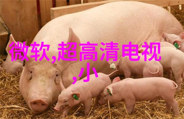 塑料破碎机碎梦之轮