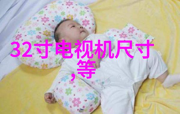 极品家丁中的忠诚与智慧守护主人的不易之路