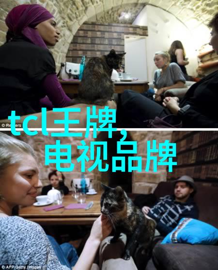 新纪元新征程超级机器人大战30背后的策略与想象