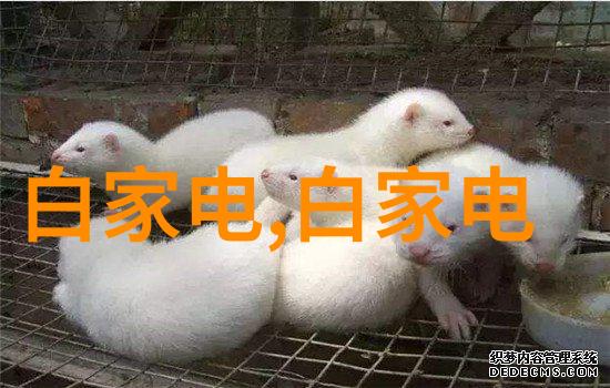 桃花梦里仙妻妖妾鬼情人的秘密交响曲
