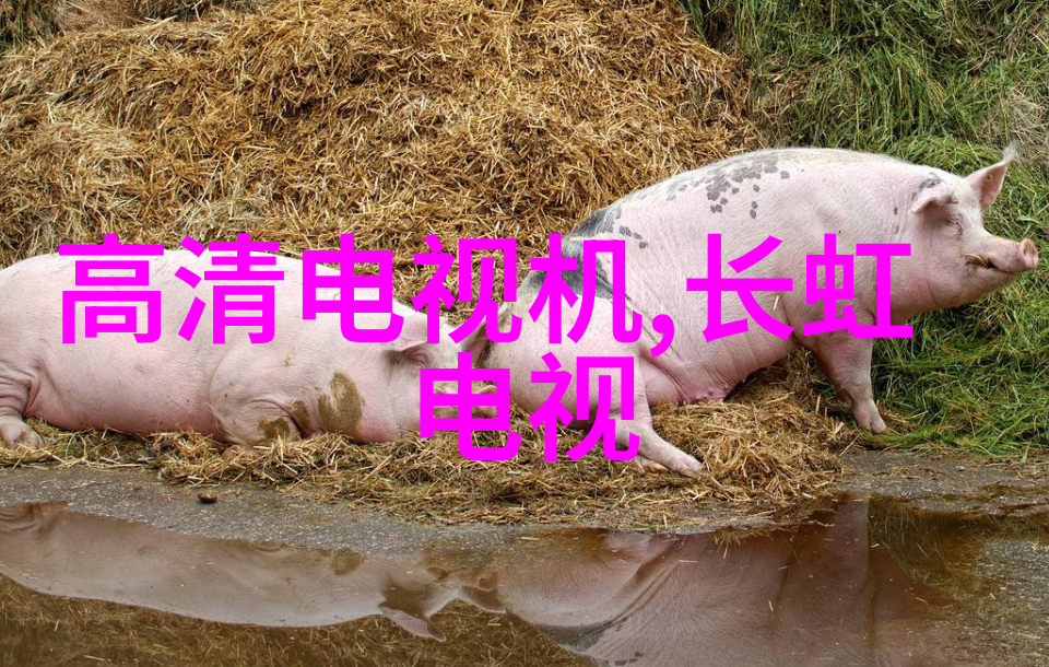 人工智能能干一辈子吗探索其终身可持续性