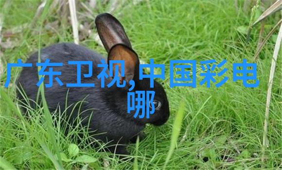 全自动蒸汽发生器 - 无人操作的高效能蒸汽源全自动蒸汽发生器的创新之旅