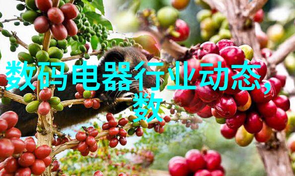智能家电新宠一款节能环保的冰箱评测