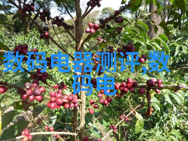 金属环矩鞍填料的助力提升机器人动态平衡性能