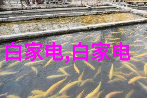 安全操作规程正确使用小型电热蒸瓦生成器避免危险