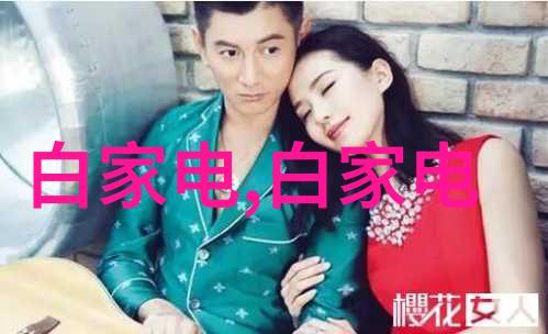 510880市盈率之所以高是不是意味着股价有泡沫风险