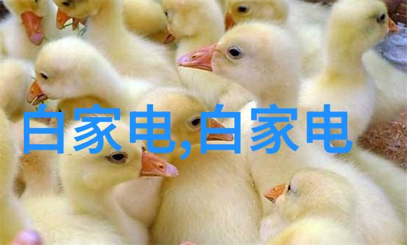 月末的沉默工作总结之谜