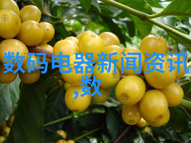 房子装修案例我家的梦之屋从此变了样