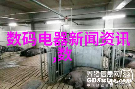 主题我是如何在中国专利查询网上找到了理想答案的