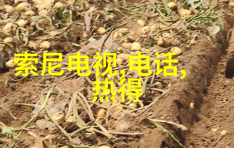 职场效率提升工作报告格式模板的巧妙运用