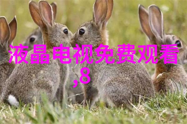 如何评价智能装备的安全性和隐私保护