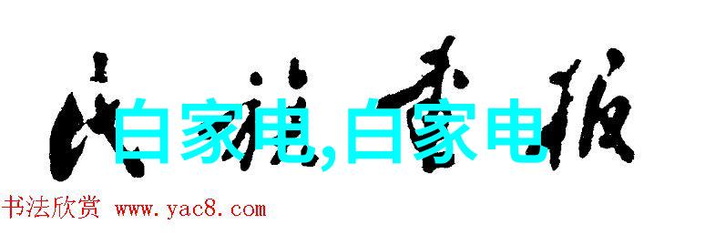 天津中德应用技术大学跨文化智慧的结晶与未来