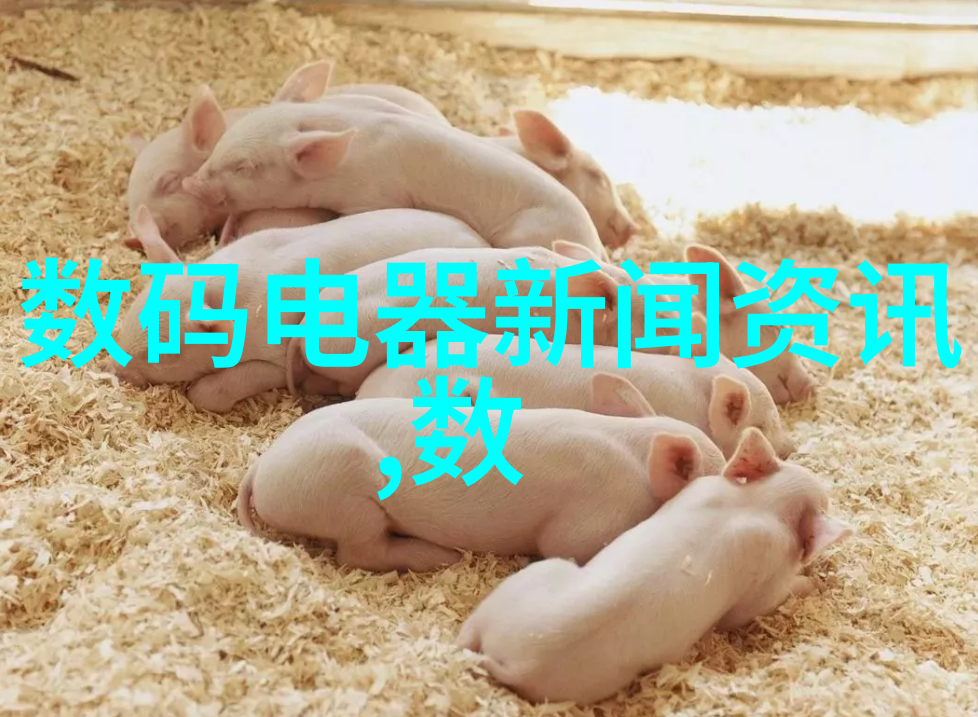 简约现代风格
