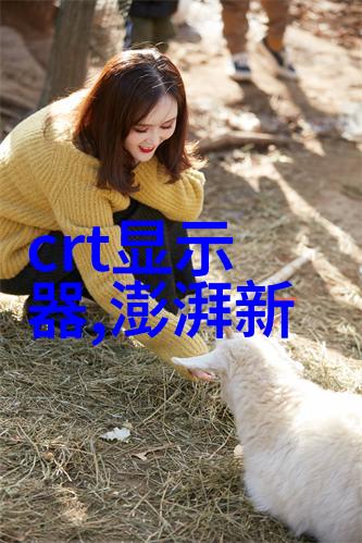 家庭厨房必备三相电多功能粉碎机使用心得