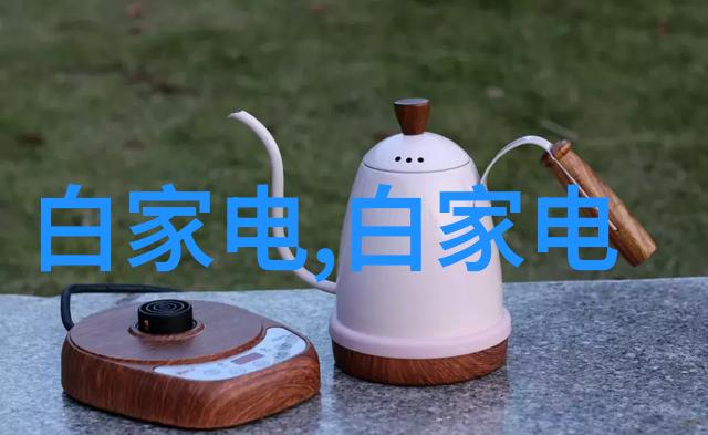 重庆水利电力职业技术学院的秘密实验室沉默中的水电之谜