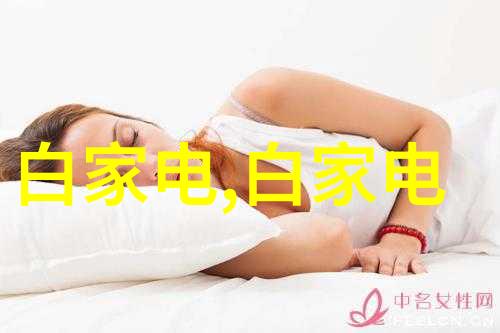 中央新风系统-清新之风中央新风系统的运行与维护艺术