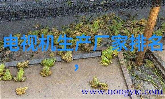 智能家居人工智能在生活中的应用实例