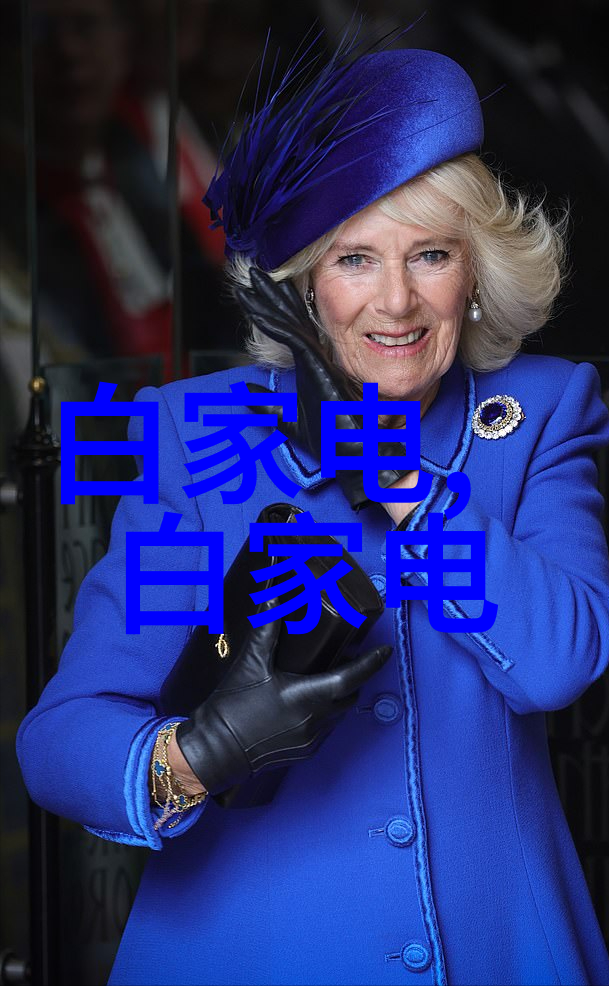 热风干燥设备之谜如何解决过热与效率之间的艰难抉择