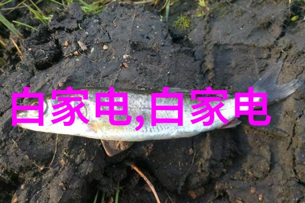 工业纯水生产系统的优化与应用
