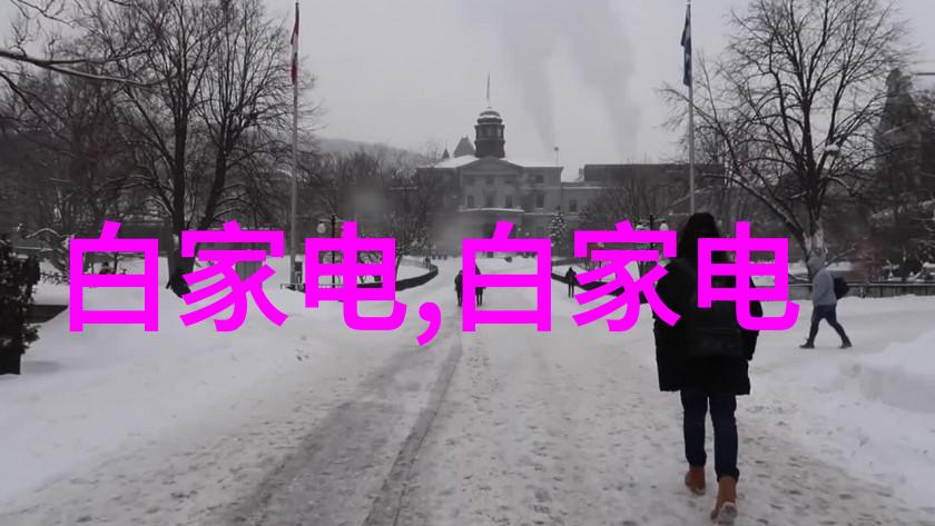 新型粉煤灰分选机是否能够降低运营成本