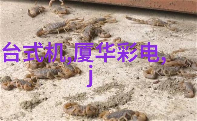 六神加持提升个人生活质量的方法和技巧