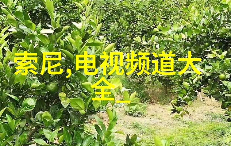 专利网查询入口专业版权保护系统