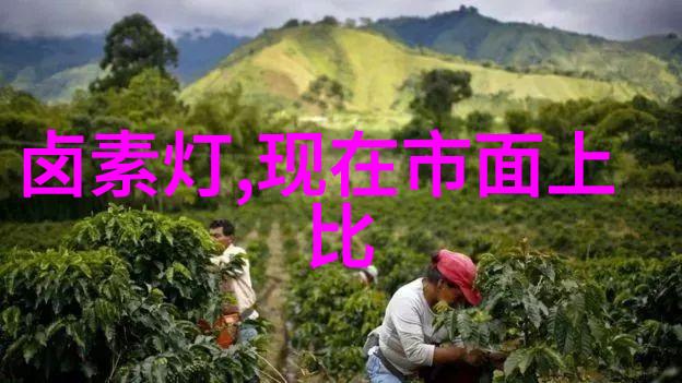 家居美学厨房装修效果图解析与创意灵感