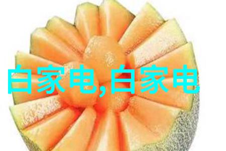 旋转引擎的奇妙世界离心设备的无限可能