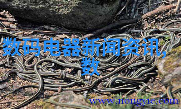 在数字化浪潮中分散机厂家如何保持技术创新与制造效率的平衡