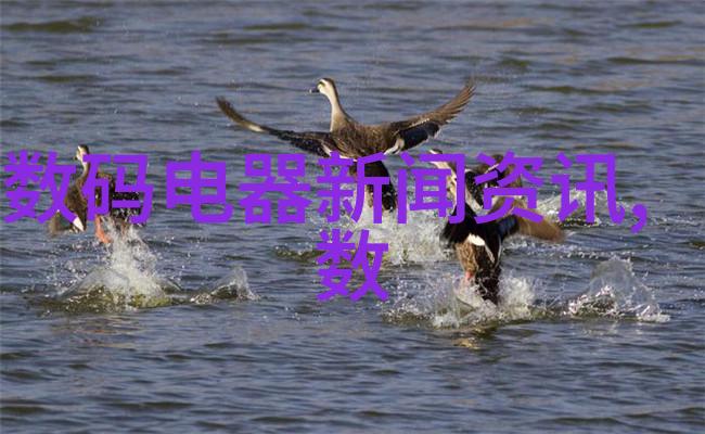 电子天平EX623ZH
