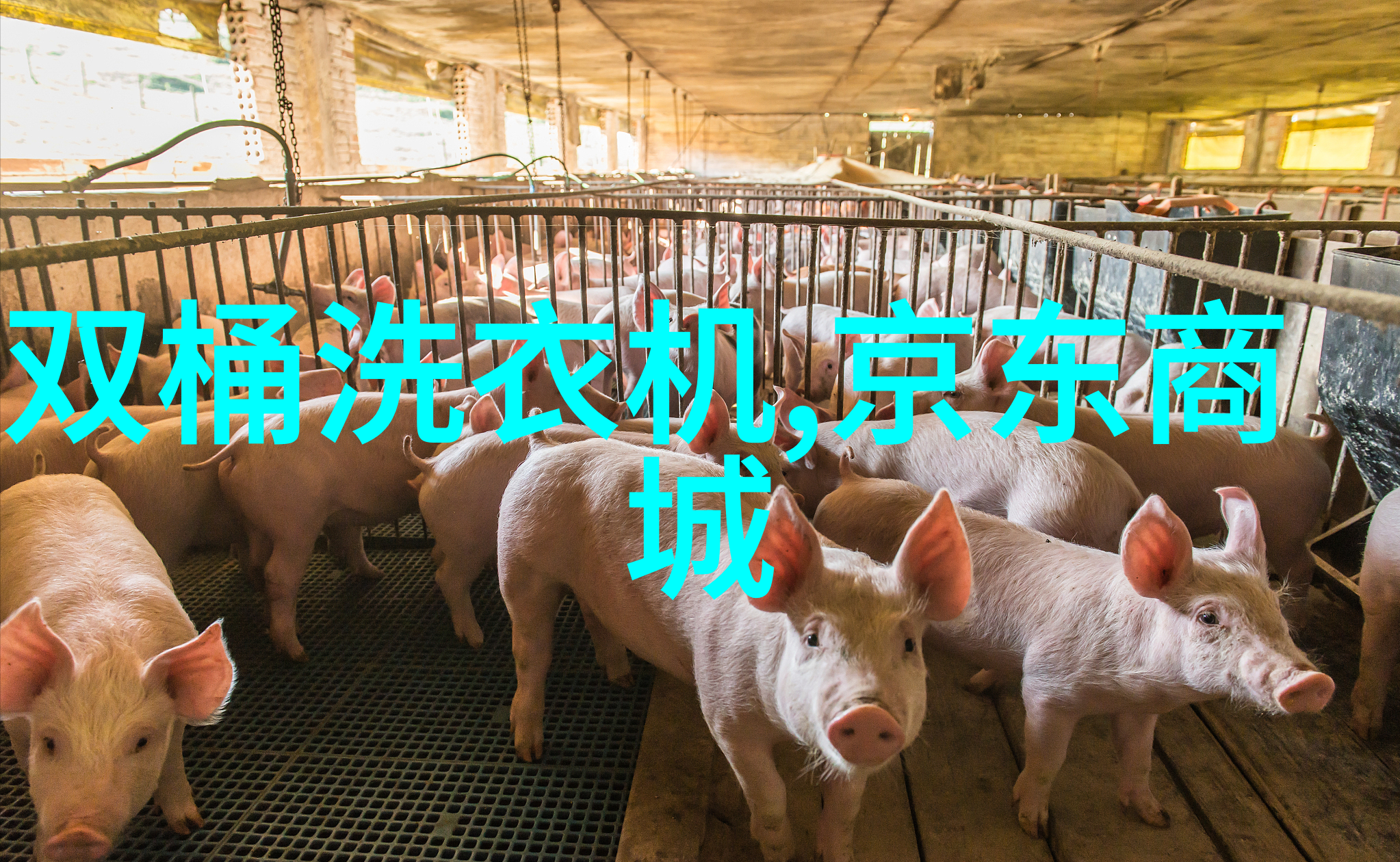 丽维家居生活创意装饰家具选购居家美学