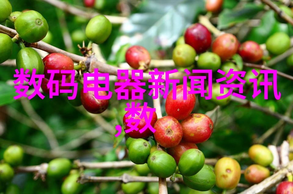 脚下千斤重高处一念轻扣件式脚手架的秘密