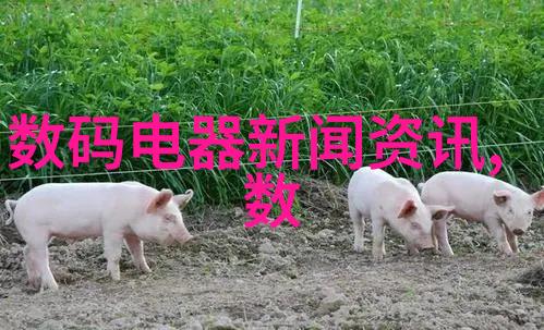 市场营销策略与管理研究方向探究