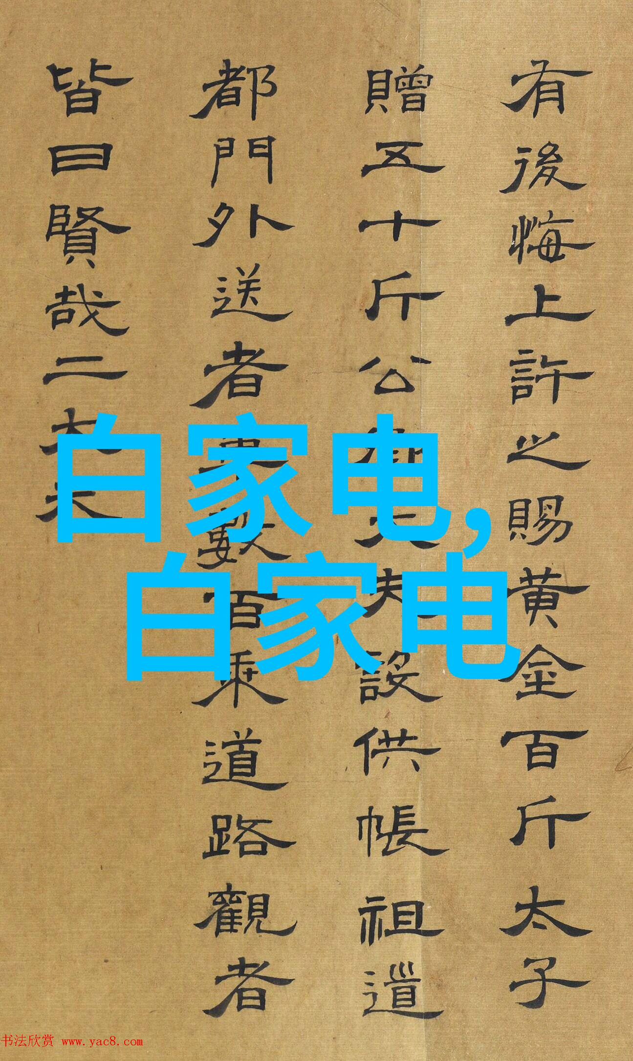 广西财经学院筑梦金融未来启航学术新篇章