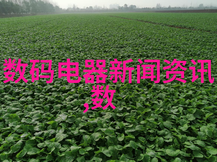 至尊无赖粤语香港电影中流行的不拘小节与高贵气质的结合