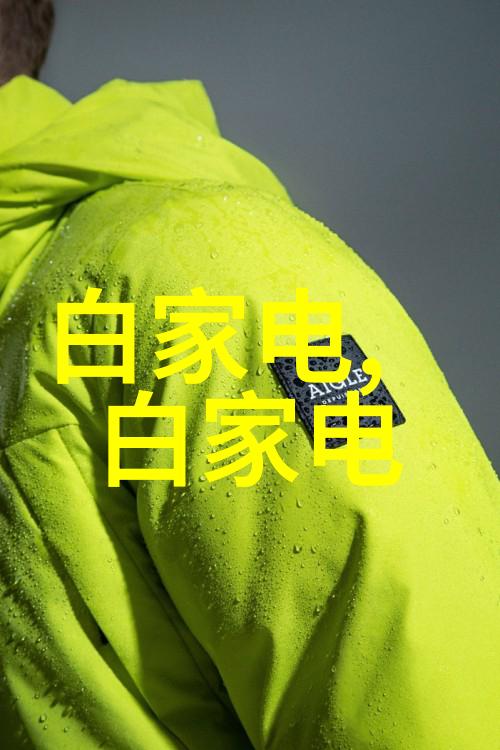 芯片探秘微小的奇迹制造者
