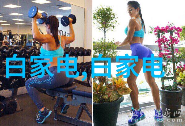 药品包装革命探索直接包装机械的未来趋势与创新应用