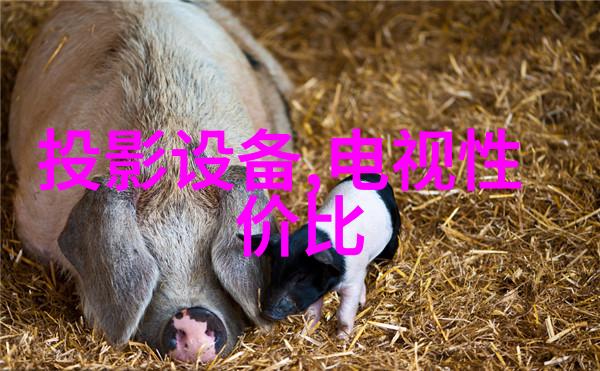 辐射清洁光芒下的无菌世界
