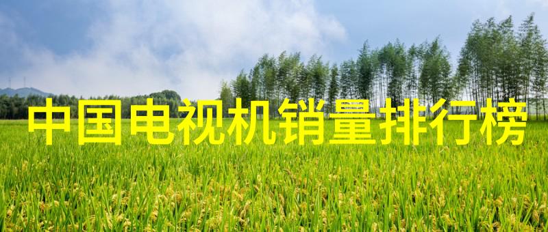 滚筒输送设备-高效无缝连续物料传输系统