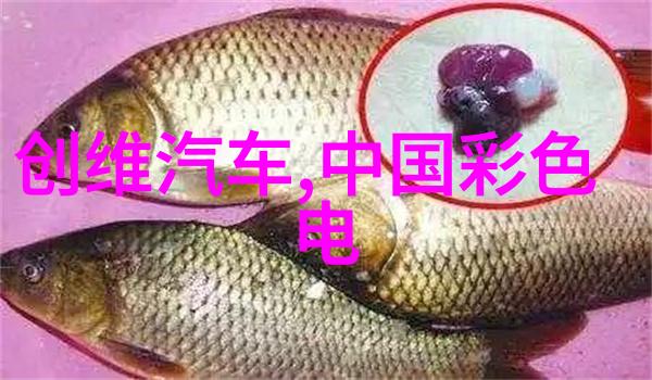 dds-11a电导率仪精确测量的高效工具