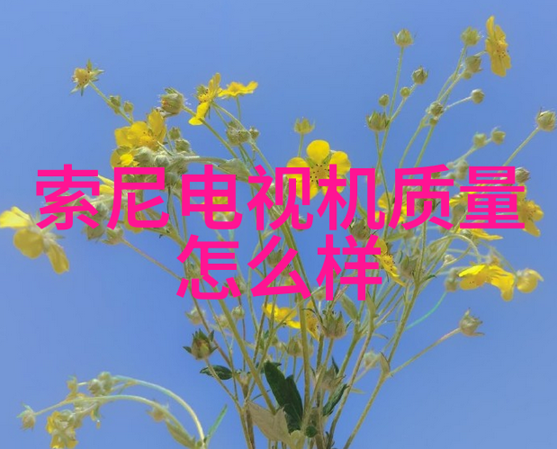 家居装修-大面积客厅装修效果图片大全创意空间的完美呈现