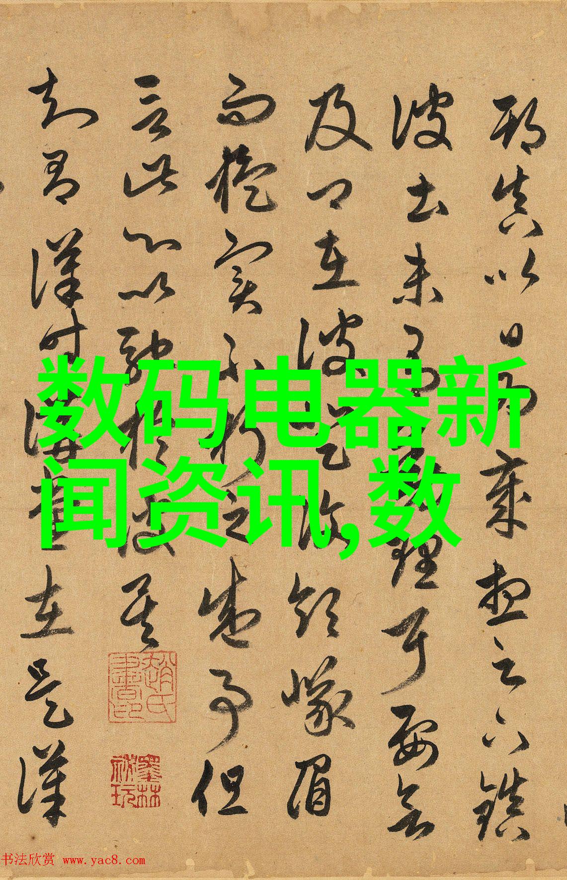 揭秘申请费用的真相背后的谜团与未解之谜
