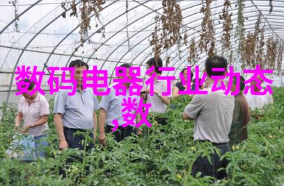 黄金守护者作文门卫的忠诚守望