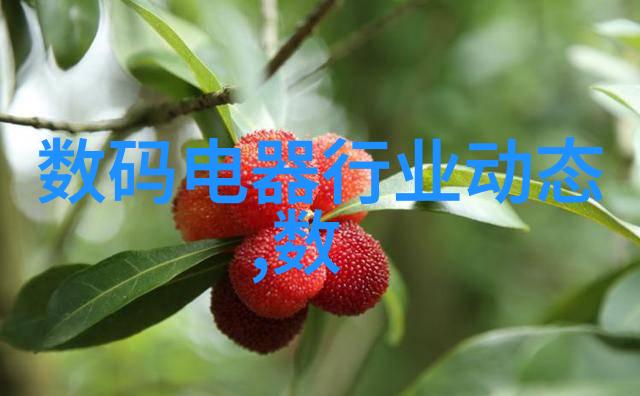全包圆-完美生活的无缝体验